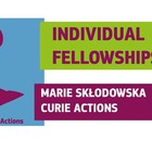 Taller de preparación de propuestas para la convocatoria Marie Sklodowska-Curie Individual Fellowships 2017