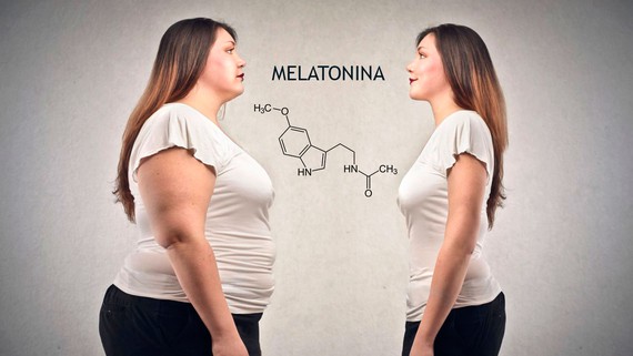 Investigadores del ibs.GRANADA han descubierto un nuevo mecanismo de la melatonina para combatir la obesidad