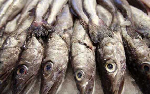 Los ácidos grasos del pescado protegen frente al cáncer de mama