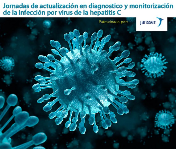 Jornadas de actualización en diagnostico y monitorización de la infección por virus de la hepatitis C