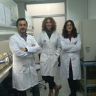 Investigadores del ibs.GRANADA demuestran la eficacia antitumoral de una formulación de dos pro-enzimas pancreáticas