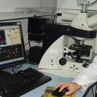 Casi el 17% de los grupos de investigación de Andalucía trabajan en el ámbito de las Ciencias de la Salud