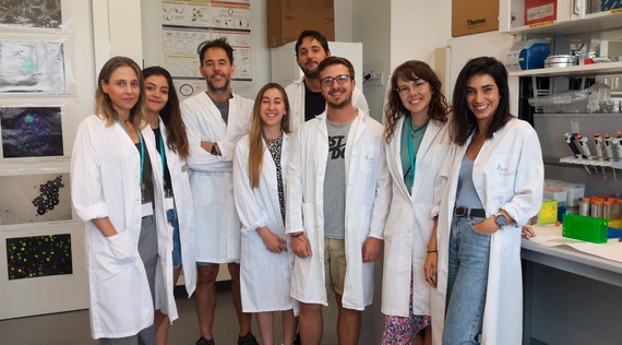 Un estudio aporta datos clave para el tratamiento del cáncer con inhibidores epigenéticos, ‘interruptores’ que activan genes silenciados en las células tumorales