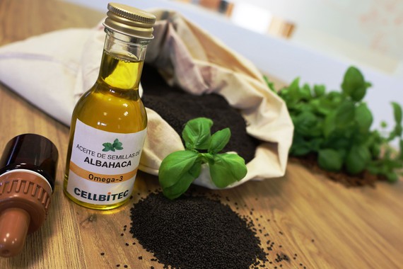 Demuestran las propiedades saludables de un aceite de semilla de albahaca, fuente alternativa de omega 3