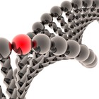 La Corte Suprema de EEUU rechaza que se pueda patentar ADN humano