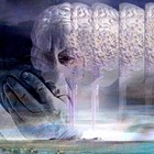 Consiguen revertir la pérdida de conexiones cerebrales en Alzheimer
