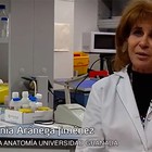 Antonia Aránega, la firme apuesta por la investigación de las células madre embrionarias