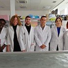 Investigadores del ibs.GRANADA señalan que las células madre cancerígenas aparecen en una etapa posterior del desarrollo del tumor