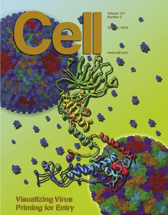 Por qué revistas como ‘Nature’, ‘Science’ y ‘Cell’ hacen daño a la ciencia