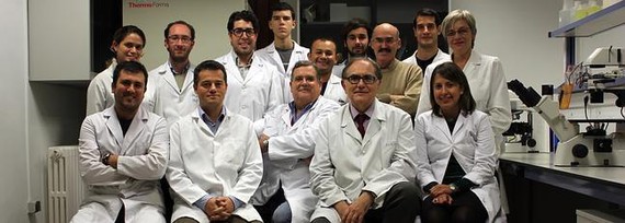 Científicos de la UGR logran construir piel artificial a partir de células madre del cordón umbilical