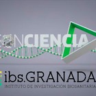 El Instituto de Investigación Biosanitaria de Granada es premiado por Canal Sur TV 