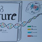 Científicos del ibs.GRANADA y GENYO explican qué es el ADN a un millar de estudiantes en el Día Mundial del ADN