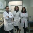 Investigadores del ibs.GRANADA demuestran la eficacia antitumoral de una formulación de dos pro-enzimas pancreáticas