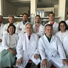 Científicos del ibs.GRANADA construyen nuevos modelos de piel artificial con células madre de distintos tejidos para uso inmediato en grandes quemados