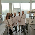 Investigadores del ibs.GRANADA desarrollan un nuevo método de bioimpresión 3D de tejidos que acelerará la implantación en la práctica clínica