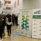 El ibs.GRANADA protagoniza una jornada llena de actividades en el marco de la Semana de la Ciencia