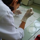Jornadas de Investigación Biosanitaria en Almería