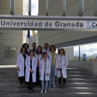 Investigadores del ibs.GRANADA demuestran que las células madre mesenquimales que dan soporte al tumor favorecen la expansión de las células madre cancerígenas más agresivas