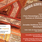 Jornadas Hematológicas Andaluzas