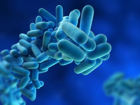Un test español reduce a una hora la detección de Legionella