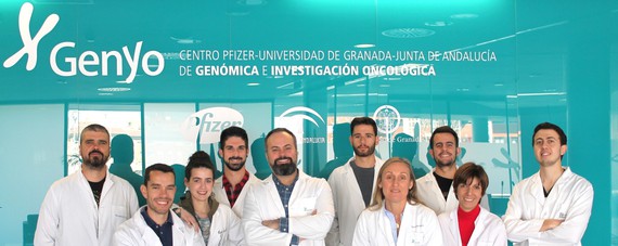 Investigadores del ibs.GRANADA identifican nuevos biomarcadores que pueden ser de utilidad clínica para la lucha contra leucemia infantil linfoblástica