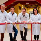 Científicos del ibs.GRANADA diseñan nanopartículas de ácido maslínico, extraído del residuo de la aceituna, para el tratamiento de cáncer de mama y páncreas