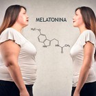 Investigadores del ibs.GRANADA han descubierto un nuevo mecanismo de la melatonina para combatir la obesidad