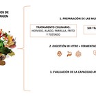 Investigadores del ibs.GRANADA demuestran que la microbiota implicada en la digestión puede aumentar la capacidad antioxidante de los alimentos