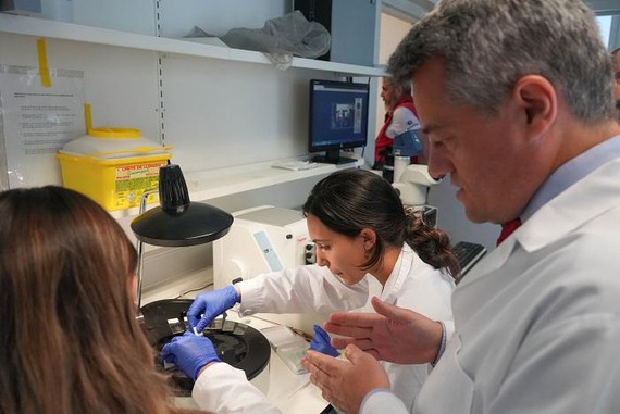 La córnea artificial desarrollada en Granada finaliza con éxito su primer ensayo en pacientes