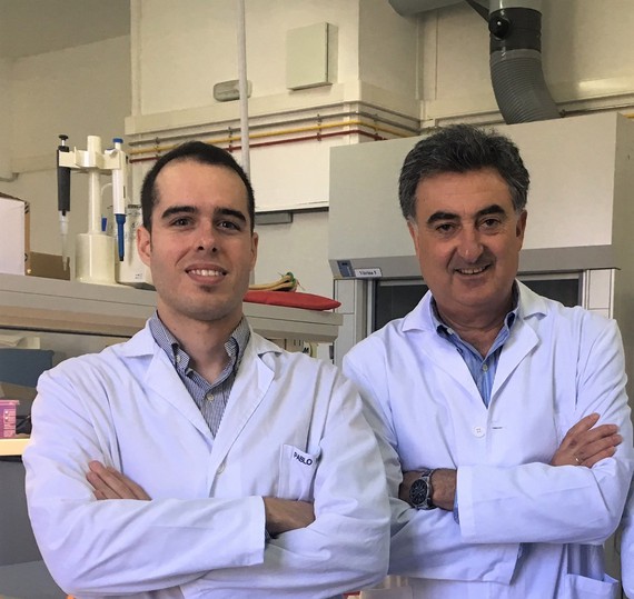 Científicos del ibs.GRANADA demuestran la importancia de la actividad de la telomerasa en el cáncer oral