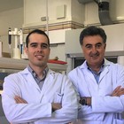 Científicos del ibs.GRANADA demuestran la importancia de la actividad de la telomerasa en el cáncer oral