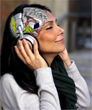 Escuchar música nueva recompensa al cerebro