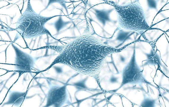 Innovadora tecnología para regenerar neuronas tras una lesión cerebral