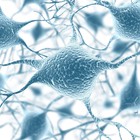 Innovadora tecnología para regenerar neuronas tras una lesión cerebral