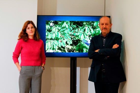 Un estudio realizado durante 22 años encuentra asociación entre la exposición infantil a pesticidas y el adelanto en la pubertad