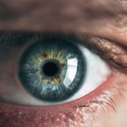 Investigadores del ibs.GRANADA demuestran el potencial terapéutico de la córnea artificial NANOULCOR en enfermedades corneales graves