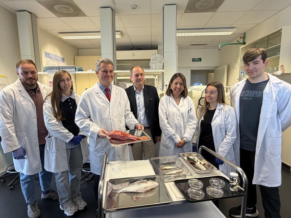 Científicos del Grupo de Ingeniería Tisular del ibs.GRANADA y la UGR desarrollan una córnea artificial a base de escamas que ya ofrece resultados prometedores en laboratorio y en pruebas con animales