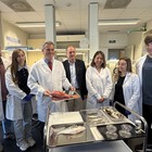 Científicos del Grupo de Ingeniería Tisular del ibs.GRANADA y la UGR desarrollan una córnea artificial a base de escamas que ya ofrece resultados prometedores en laboratorio y en pruebas con animales