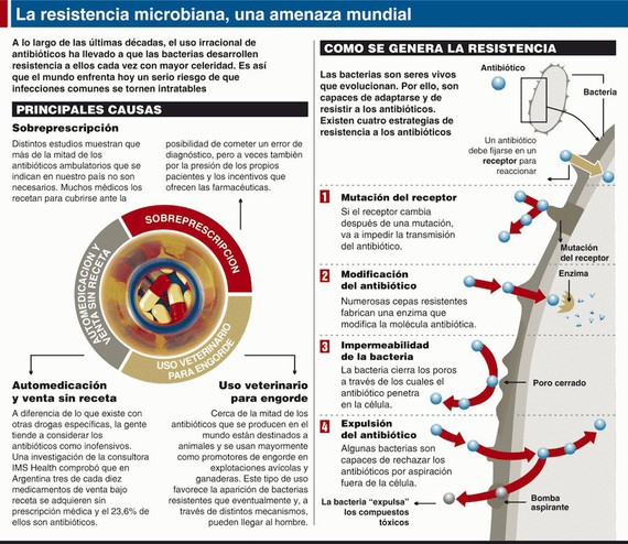 El Instituto de Salud Carlos III considera la resistencia a los antibióticos una de sus prioridades de salud