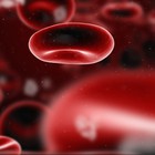 Descubierta una proteína responsable de la respuesta inflamatoria en la hemorragia y la sepsis
