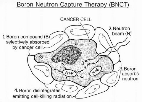  El Hospital San Cecilio acoge el Workshop on Clinical Boron Neutron Capture Therapy of cancer
