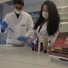 Sustancias presentes en algunos productos cosméticos, como pintalabios, cremas o tintes, podrían aumentar la probabilidad de que las mujeres desarrollen endometriosis