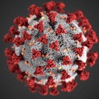 El Instituto de Investigación Biosanitaria de Granada colabora con casi medio centenar de donaciones destinadas a los hospitales de Granada para combatir la pandemia del COVID-19