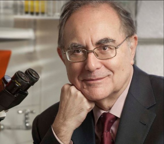 El responsable del grupo de ingeniería tisular del ibs.GRANADA, Antonio Campos recibe el Premio Internacional de Educación Médica ‘Antonio Gallego’