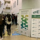 El ibs.GRANADA protagoniza una jornada llena de actividades en el marco de la Semana de la Ciencia