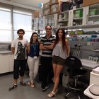 El aceite de oliva reduce el número de células madre cancerígenas y la capacidad metastásica del cáncer de mama triple negativo