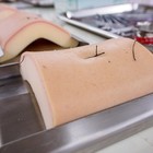 El ibs.GRANADA pionero en la generación de piel artificial