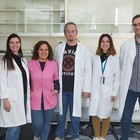 Científicos del ibs.GRANADA descubren el papel clave de una proteina en la interacción entre sistema nervioso y neuronas durante el dolor neuropático