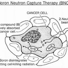 El Hospital San Cecilio acoge el Workshop on Clinical Boron Neutron Capture Therapy of cancer